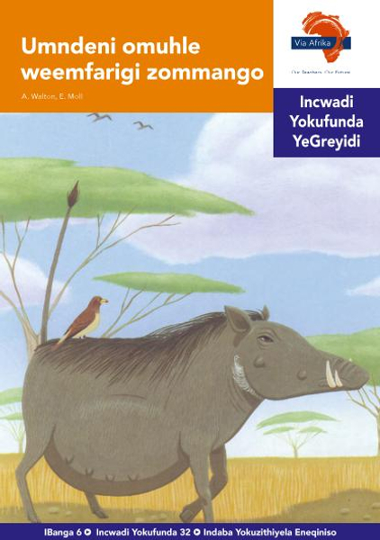 eBook (ePDF): Via Afrika isiNdebele HL G06 Reader 32