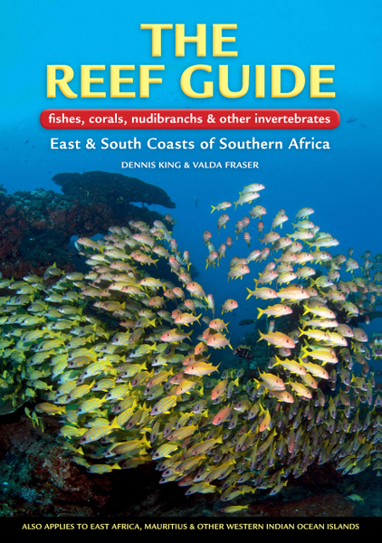 The Reef Guide