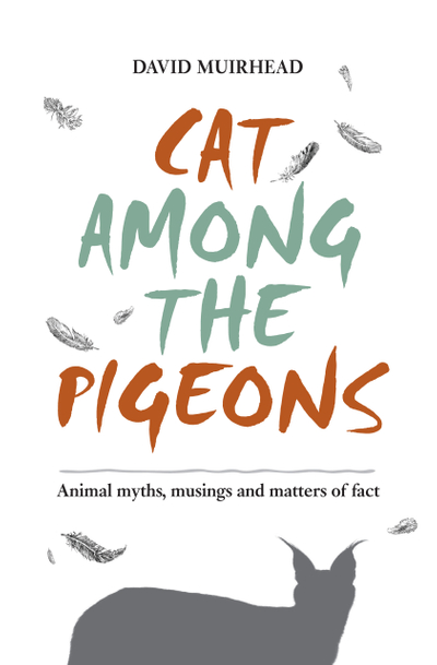 Cat among the pigeons