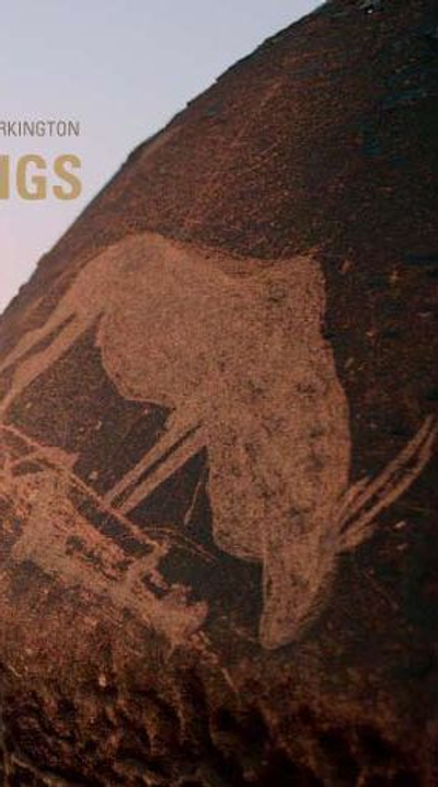 San Rock Engravings - Marking the Karoo Landscape